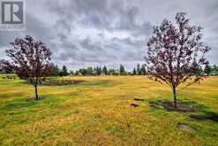 303, 508 Cedar Crescent SW Calgary