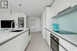 1009, 1188 3 Street SE Calgary