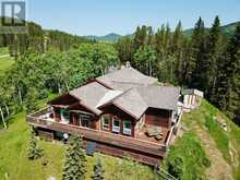 11 Black Bear Rural Foothills