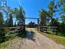 11 Black Bear Rural Foothills