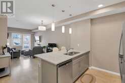 312, 30 Mahogany Mews SE Calgary