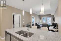 312, 30 Mahogany Mews SE Calgary