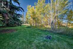 9, 308 Cedar Crescent SW Calgary