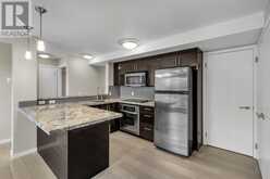 309, 515 22 Avenue SW Calgary