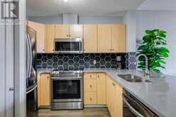 905, 1053 10 Street SW Calgary