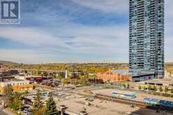 905, 1053 10 Street SW Calgary