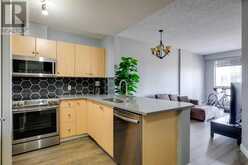 905, 1053 10 Street SW Calgary