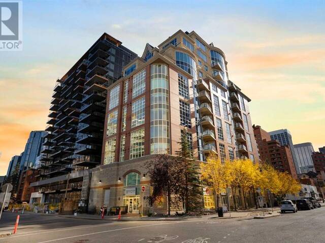 401, 110 7 Street SW Calgary