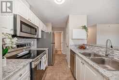 411, 270 Shawville Way SE Calgary