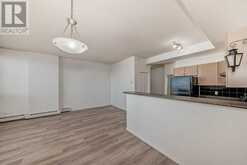 1013, 1053 10 Street SW Calgary