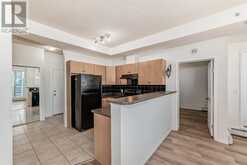 1013, 1053 10 Street SW Calgary