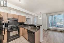 1013, 1053 10 Street SW Calgary