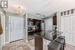 415, 15 Saddlestone Way NE Calgary