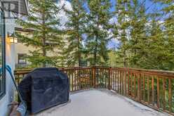 215 Miskow Close Canmore