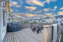 151 Saddlehorn Close NE Calgary