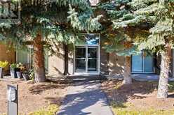 5, 207 Village Terrace SW Calgary