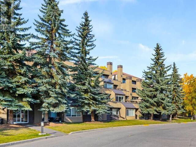 5, 207 Village Terrace SW Calgary Alberta