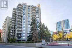 206, 804 3 Avenue SW Calgary