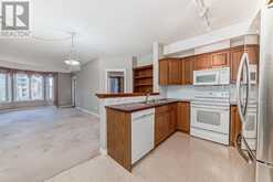 232, 15 Everstone Drive SW Calgary