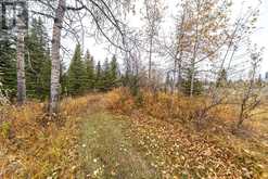 100, 186083 Priddis Valley Road W Rural Foothills