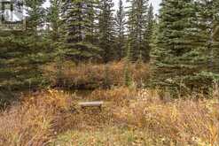 100, 186083 Priddis Valley Road W Rural Foothills