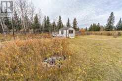 100, 186083 Priddis Valley Road W Rural Foothills