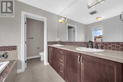 129 Saddlelake Green NE Calgary