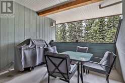 321, 101 Montane Road Canmore