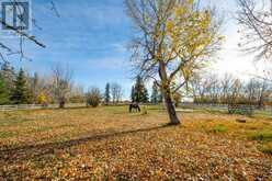 1508 Township Road 302 Rural Mountain View