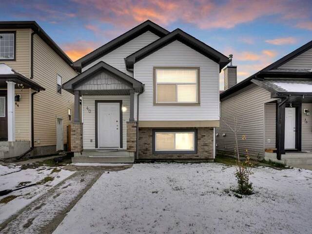 40 saddlefield Road NE Calgary Alberta