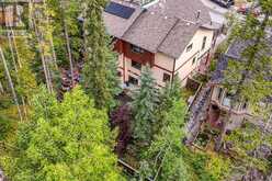 173 Wapiti Close Canmore