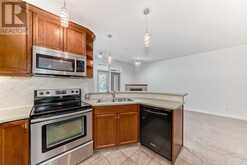 4205, 24 Hemlock Crescent SW Calgary