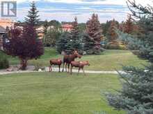 27 Corral View Rural Rocky View