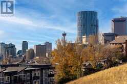 203, 488 7 Avenue NE Calgary