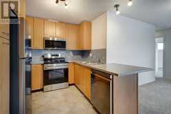 428, 22 Richard Place SW Calgary