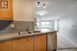 428, 22 Richard Place SW Calgary