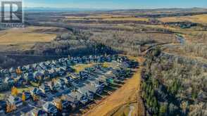 83 Sheep River Cove Okotoks