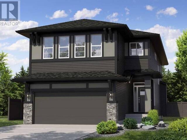 113 Creekstone Landing Calgary Alberta