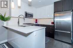 224, 305 18 Avenue SW Calgary