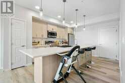 2306, 42 Cranbrook Gardens SE Calgary