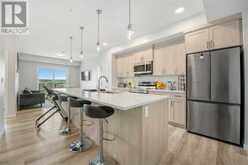 2306, 42 Cranbrook Gardens SE Calgary