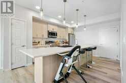 2306, 42 Cranbrook Gardens SE Calgary