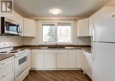 597 Aboyne Crescent NE Calgary