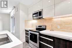 203, 108 13 Avenue NE Calgary