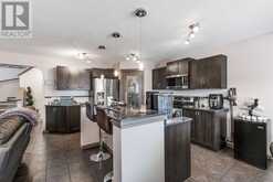 149 Skyview Ranch Crescent NE Calgary