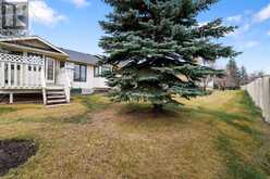 3 Sunlake Close SE Calgary