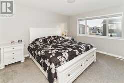 236 Red Sky Terrace NE Calgary