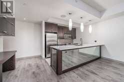 303, 530 12 Avenue SW Calgary