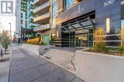 303, 530 12 Avenue SW Calgary