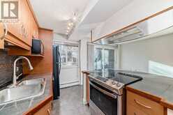 203, 1730 7 Street SW Calgary